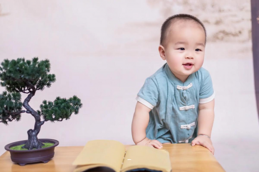 福安可爱的企鹅宝宝